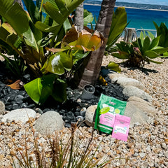 Two small product pouches, one green and one pink, placed on a rocky beach garden path with tropical plants, pebbles, and blue ocean water in the background.